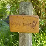 The Common Knowledge Centre * Kilfenora