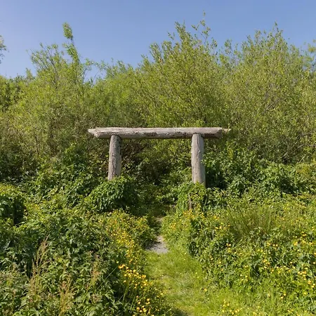 The Common Knowledge Centre Хостел Kilfenora