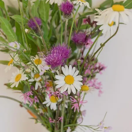 The Common Knowledge Centre Kilfenora