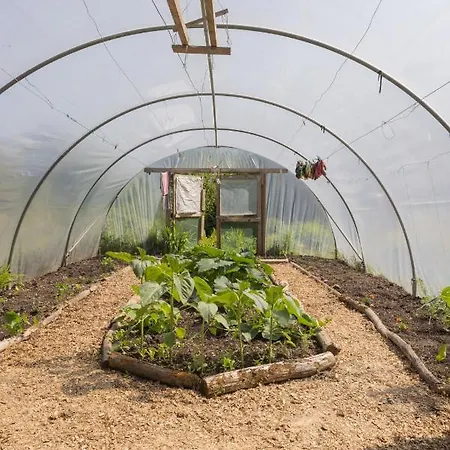 The Common Knowledge Centre