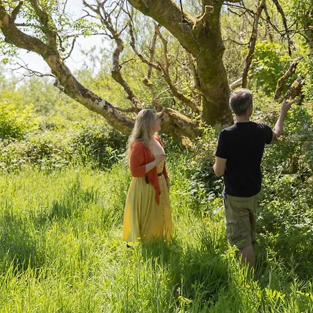 The Common Knowledge Centre Хостел Kilfenora