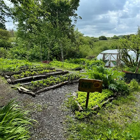 The Common Knowledge Centre * Kilfenora