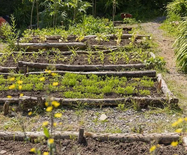 The Common Knowledge Centre Хостел *