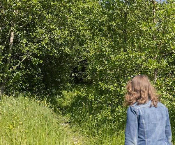 The Common Knowledge Centre * Kilfenora