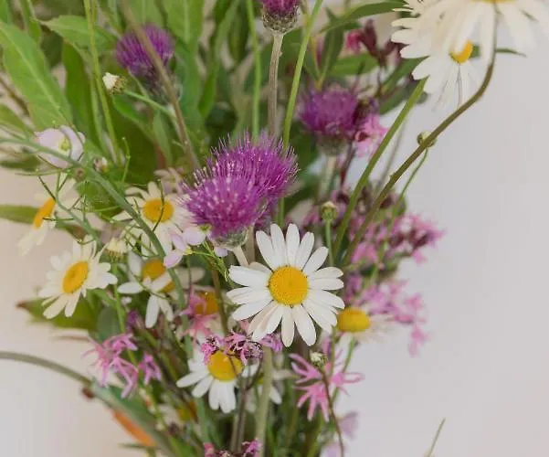 The Common Knowledge Centre Kilfenora