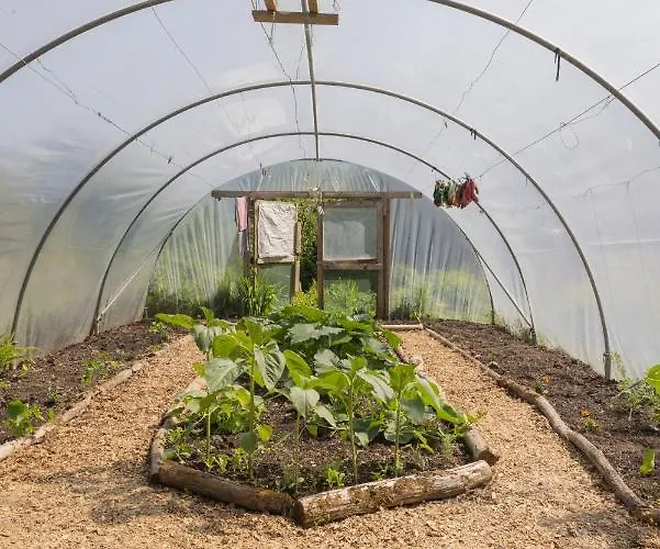 The Common Knowledge Centre