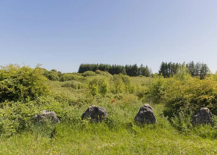 The Common Knowledge Centre Хостел *