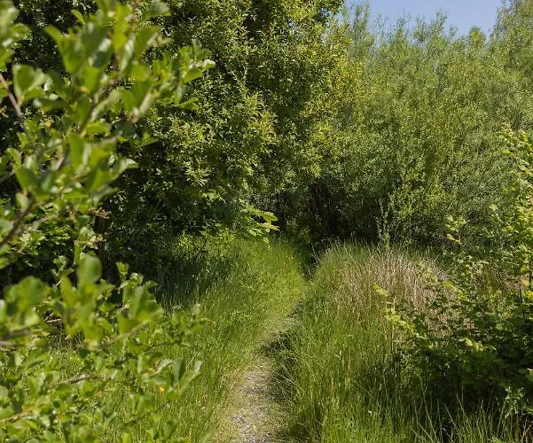 Хостел The Common Knowledge Centre Kilfenora