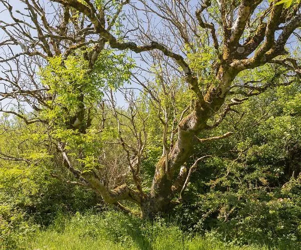 Хостел The Common Knowledge Centre