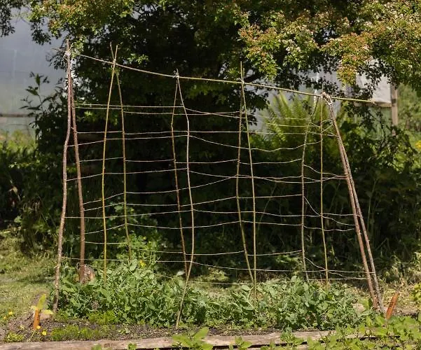 Хостел The Common Knowledge Centre