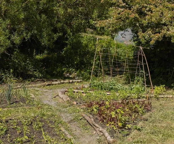 The Common Knowledge Centre Хостел Kilfenora