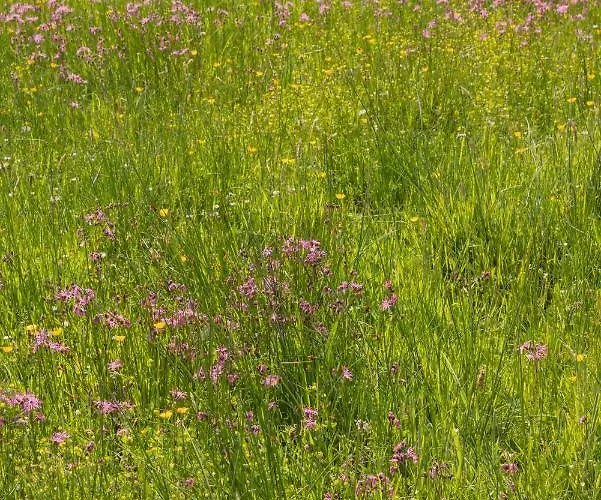 The Common Knowledge Centre Kilfenora