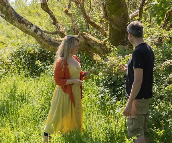 The Common Knowledge Centre Хостел Kilfenora