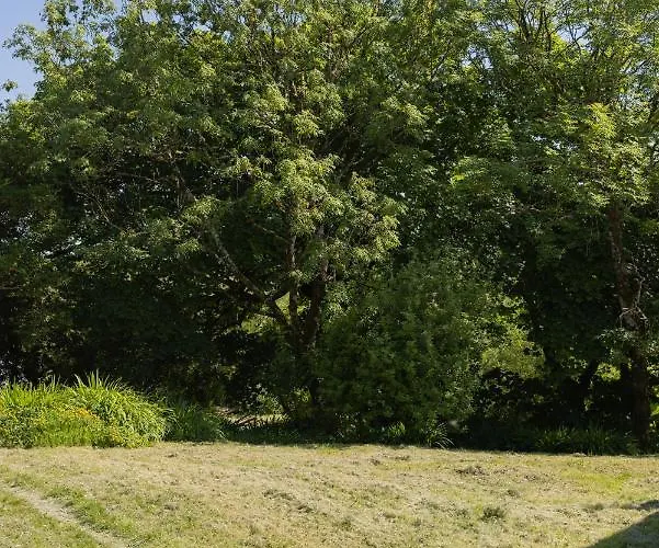 The Common Knowledge Centre Kilfenora