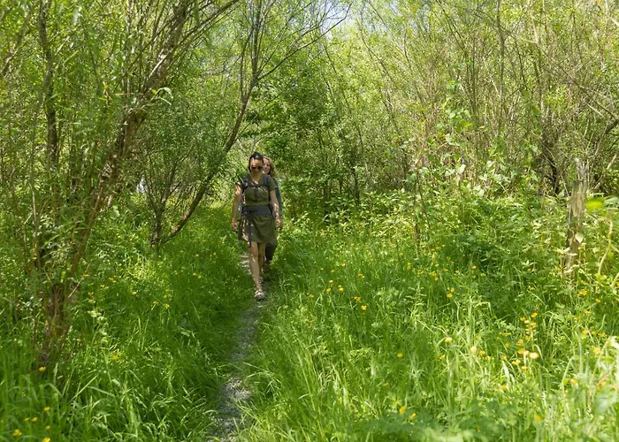 The Common Knowledge Centre Хостел