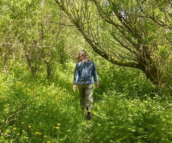 Хостел The Common Knowledge Centre *