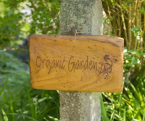 The Common Knowledge Centre * Kilfenora