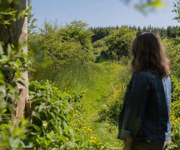 Хостел The Common Knowledge Centre