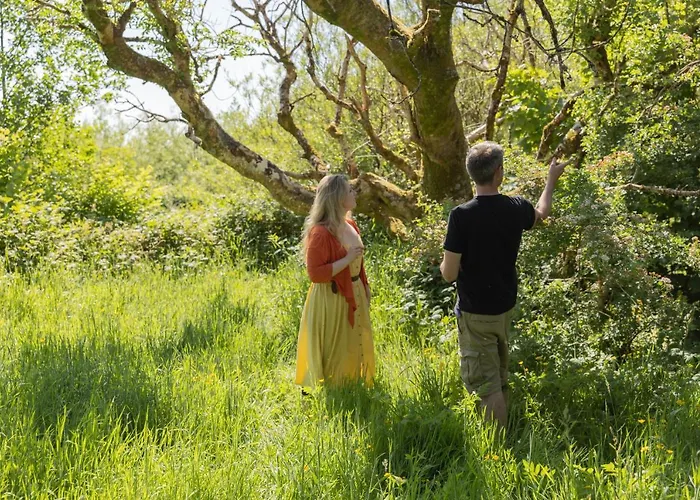 The Common Knowledge Centre Хостел Kilfenora