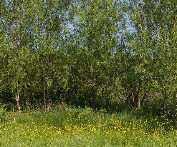 The Common Knowledge Centre Kilfenora