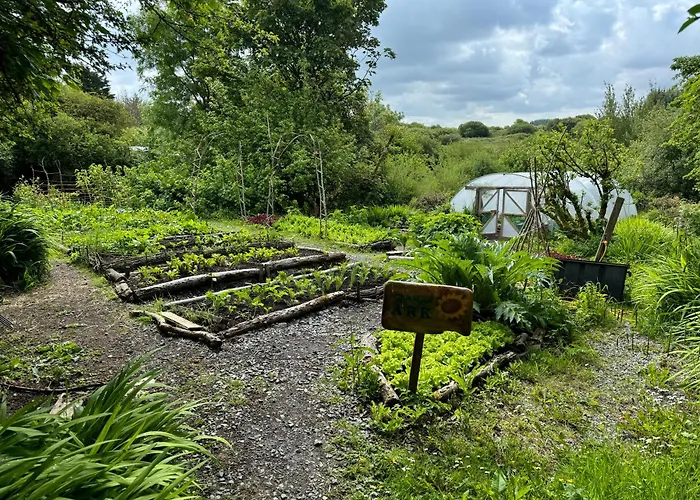 The Common Knowledge Centre * Kilfenora